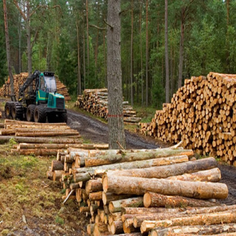 Is het nodig om een ​​consistente indieningshoek en diepte te behouden bij het slijpen van een kettingzaagketen?